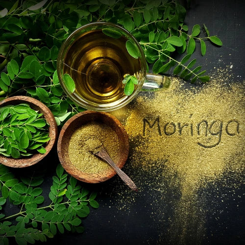 Le Moringa