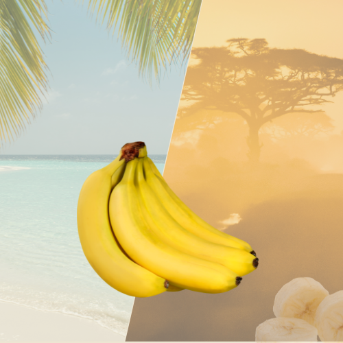 Banane antillaise 1kg sucrée et savoureuse